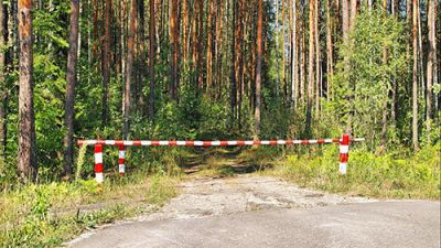 Во всех районах Беларуси ограничено посещение лесов